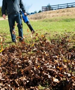 Kobalt Cordless Electric Leaf Blowers 80-volt Max 630-CFM Brushless Handheld Cordless Electric Leaf Blower 2.5 Ah (Battery & Charger Included) -Kobalt Sales Store 41718125