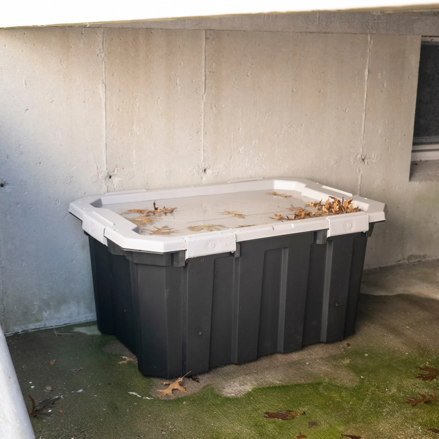 Kobalt Plastic Storage Totes X-large 24-Gallon (96-Quart) Grey Heavy Duty Tote with Latching Lid 14 Kobalt Plastic Storage Totes X-large 24-Gallon (96-Quart) Grey Heavy Duty Tote with Latching Lid - Image 14